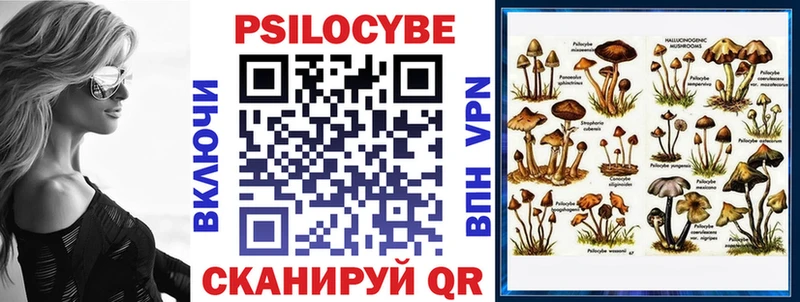 Псилоцибиновые грибы GOLDEN TEACHER Волоколамск